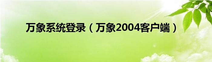 萬象系統(tǒng)登錄（萬象2004客戶端）