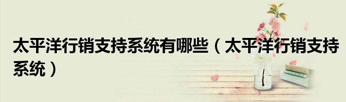太平洋行銷支持系統(tǒng)有哪些（太平洋行銷支持系統(tǒng)）