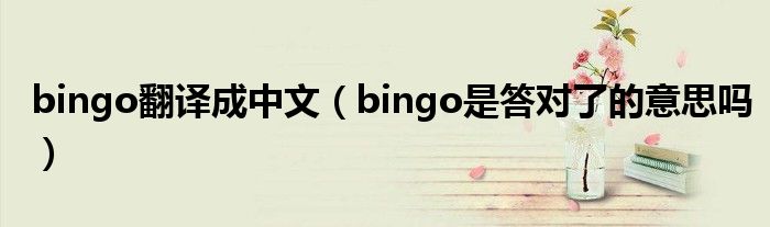 bingo翻譯成中文（bingo是答對了的意思嗎）