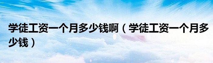 學(xué)徒工資一個月多少錢啊（學(xué)徒工資一個月多少錢）