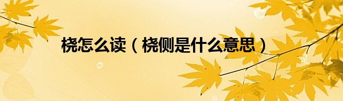橈怎么讀（橈側(cè)是什么意思）