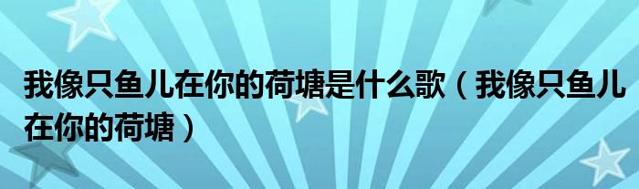 我像只魚兒在你的荷塘是什么歌（我像只魚兒在你的荷塘）