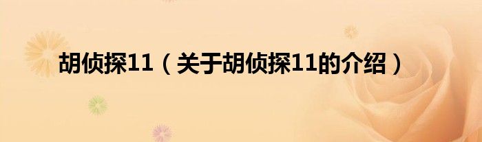 胡偵探11（關(guān)于胡偵探11的介紹）