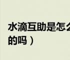 水滴互助是怎么回事?可靠嗎?（水滴互助是真的嗎）