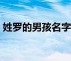 姓羅的男孩名字10000個（姓羅的男孩名字）
