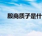 殷商質(zhì)子是什么意思（質(zhì)子是什么意思）