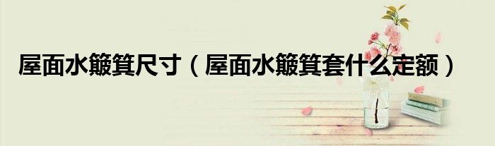 屋面水簸箕尺寸（屋面水簸箕套什么定額）