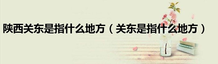 陜西關(guān)東是指什么地方（關(guān)東是指什么地方）