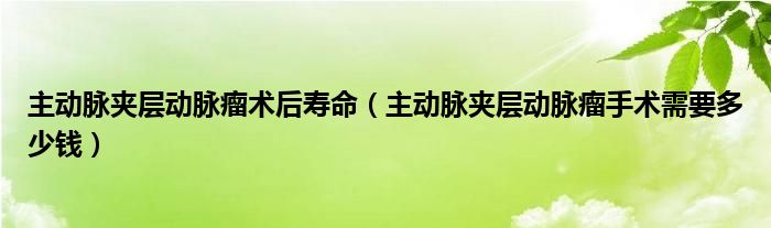 主動脈夾層動脈瘤術(shù)后壽命（主動脈夾層動脈瘤手術(shù)需要多少錢）