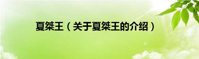 夏桀王（關(guān)于夏桀王的介紹）