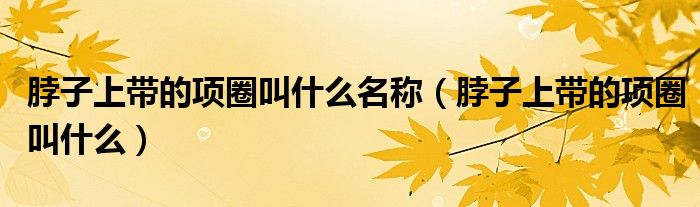 脖子上帶的項圈叫什么名稱（脖子上帶的項圈叫什么）