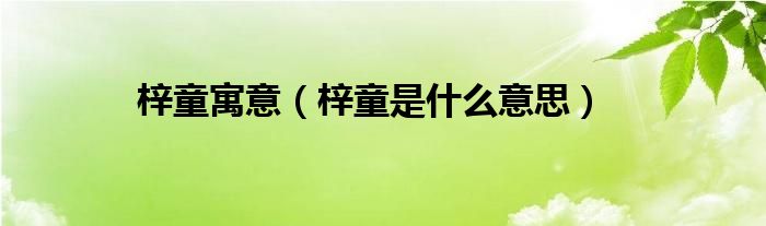梓童寓意（梓童是什么意思）