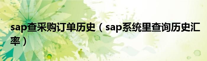 sap查采購訂單歷史（sap系統(tǒng)里查詢歷史匯率）