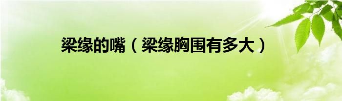 梁緣的嘴（梁緣胸圍有多大）