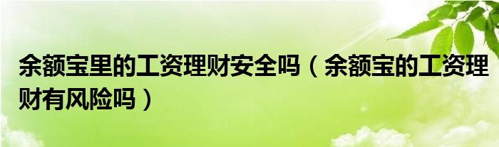 余額寶里的工資理財(cái)安全嗎（余額寶的工資理財(cái)有風(fēng)險(xiǎn)嗎）