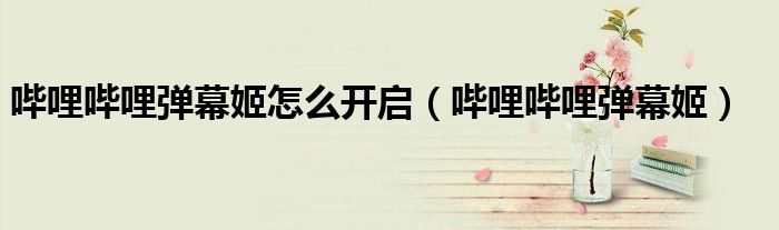 嗶哩嗶哩彈幕姬怎么開(kāi)啟（嗶哩嗶哩彈幕姬）
