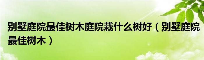 別墅庭院最佳樹木庭院栽什么樹好（別墅庭院最佳樹木）
