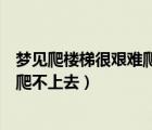 夢見爬樓梯很艱難爬不上去放棄下來了（夢見爬樓梯很艱難爬不上去）