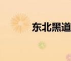 東北黑道電視?。ê诘离娨晞。?/>
                                    </a>
                                                </div>
                                    <div   id=