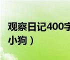 觀察日記400字 四年級小狗（觀察日記300字小狗）