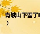 青城山下雪了嗎2020（青城山下雪了嗎2019）