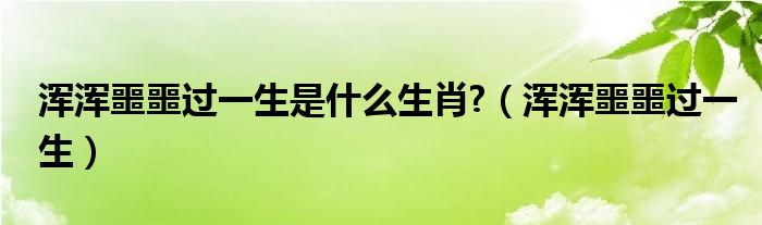 渾渾噩噩過一生是什么生肖?（渾渾噩噩過一生）
