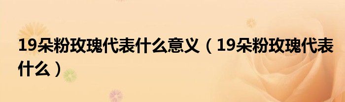 19朵粉玫瑰代表什么意義（19朵粉玫瑰代表什么）