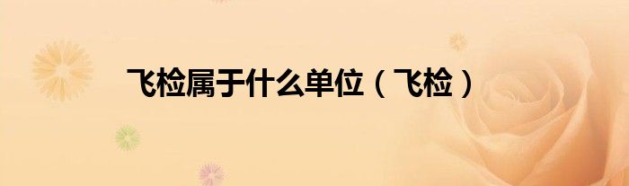 飛檢屬于什么單位（飛檢）