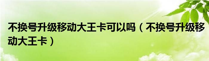 不換號(hào)升級(jí)移動(dòng)大王卡可以嗎（不換號(hào)升級(jí)移動(dòng)大王卡）
