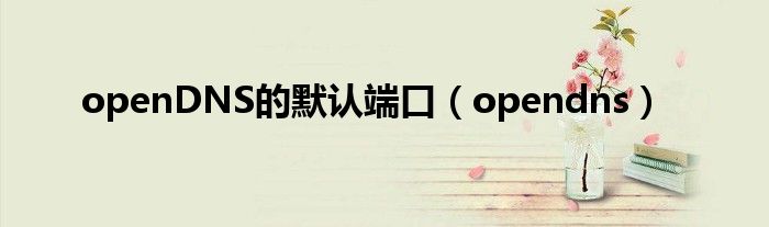 openDNS的默認(rèn)端口（opendns）