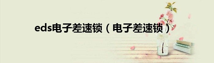eds電子差速鎖（電子差速鎖）