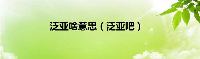 泛亞啥意思（泛亞吧）