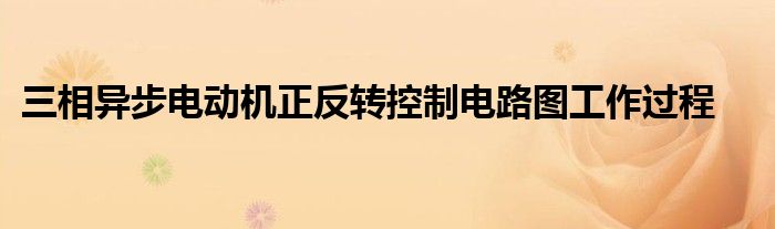 三相異步電動(dòng)機(jī)正反轉(zhuǎn)控制電路圖工作過程