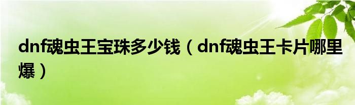 dnf魂蟲王寶珠多少錢（dnf魂蟲王卡片哪里爆）