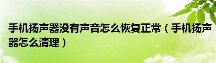 手機揚聲器沒有聲音怎么恢復(fù)正常（手機揚聲器怎么清理）