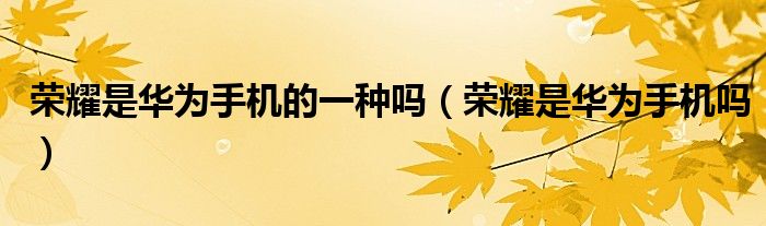 榮耀是華為手機的一種嗎（榮耀是華為手機嗎）