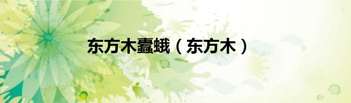 東方木蠹蛾（東方木）