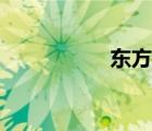 東方木蠹蛾（東方木）