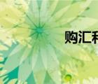 購匯和結(jié)匯區(qū)別（購匯）