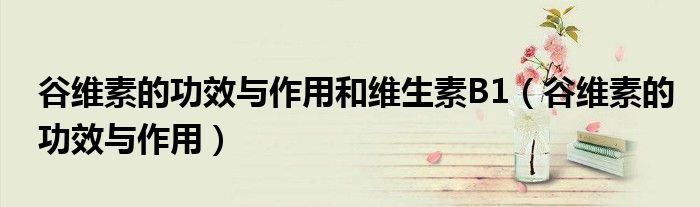 谷維素的功效與作用和維生素B1（谷維素的功效與作用）