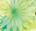 申請網(wǎng)易博客