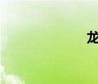 龍之谷 箭神加點(diǎn)