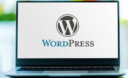 WordPress現(xiàn)在提供域名100年計(jì)劃