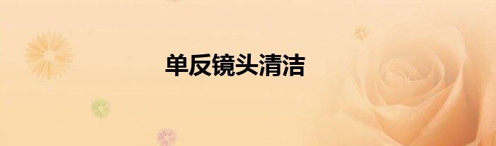 單反鏡頭清潔