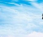 洋河大曲價格