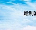 哈利波特8被詛咒的孩子