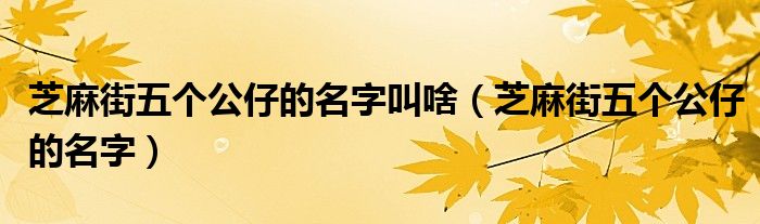 芝麻街五個公仔的名字叫啥（芝麻街五個公仔的名字）