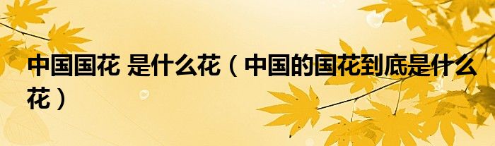 中國(guó)國(guó)花 是什么花（中國(guó)的國(guó)花到底是什么花）