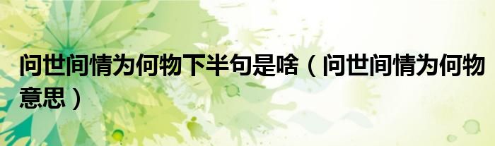 問世間情為何物下半句是啥（問世間情為何物意思）
