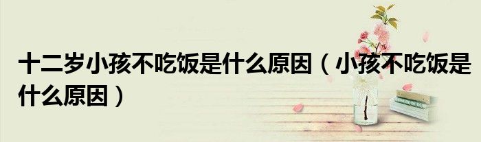 十二歲小孩不吃飯是什么原因（小孩不吃飯是什么原因）